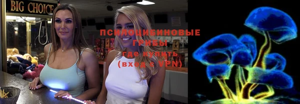 молекула духа Нязепетровск