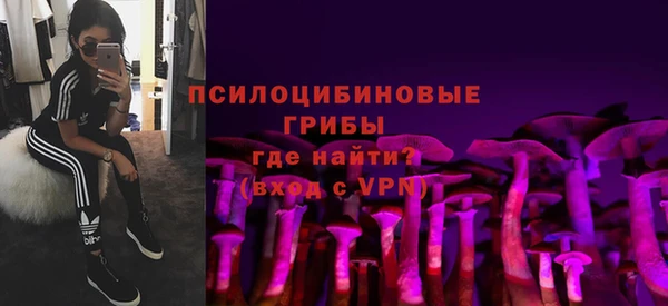 молекула духа Нязепетровск