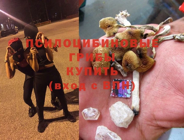 молекула духа Нязепетровск