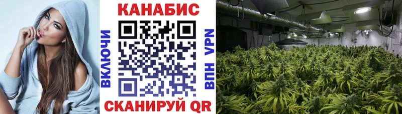 купить наркотик  darknet состав  Марихуана планчик  Рассказово 